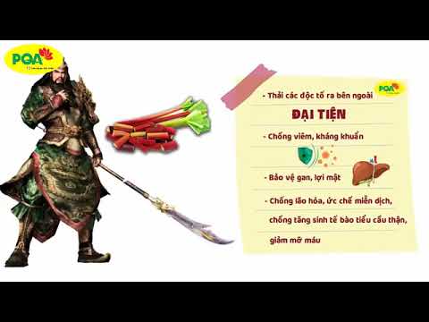 PQA Đại Hoàng viên nang - Hỗ trợ nhuận tràng, thông tiện, giảm táo bón