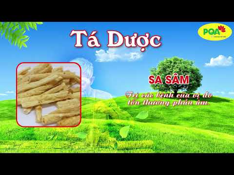 PQA Bổ Thận Thủy - Hỗ trợ giúp bổ âm dưỡng huyết, hạn chế các biểu hiện ra mồ hôi tay chân.