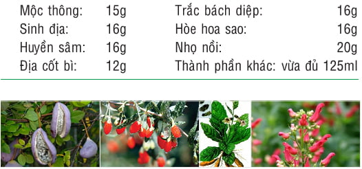 bài thuốc đông y trị chảy máu cam