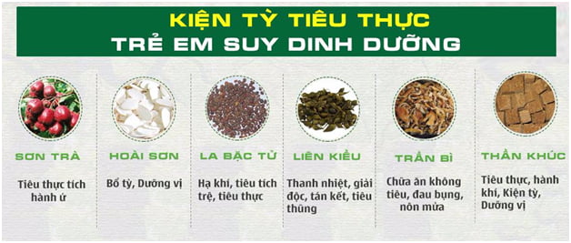 thành phần của pqa kiện tỳ tiêu thực