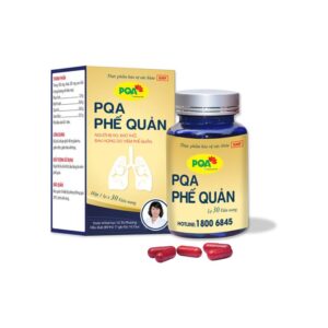 PQA Phế quản dạng viên nang