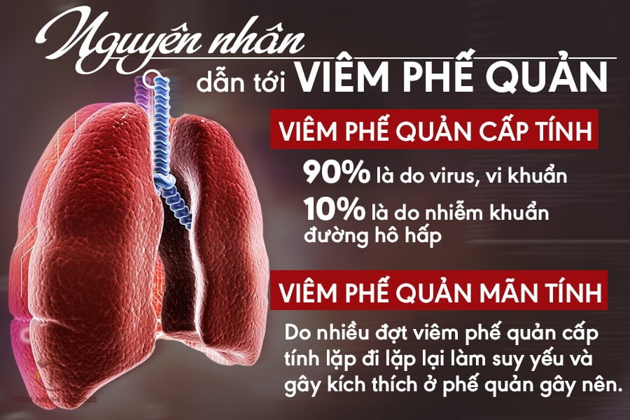 Nguyên nhân viêm phế quản co thắt thể hen