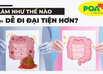 Nhuận tràng PQA đại tiện dễ dàng không còn táo bón