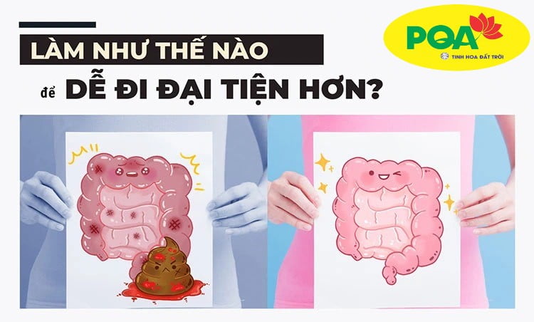Nhuận tràng PQA đại tiện dễ dàng không còn táo bón